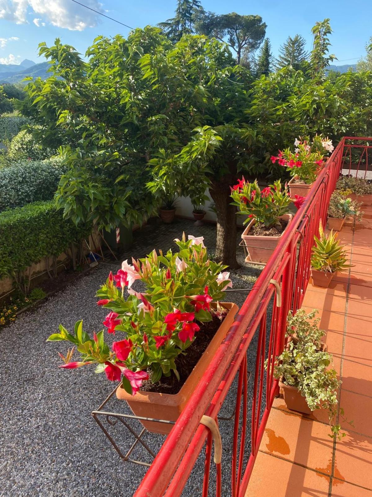 Vakantiehuis Casa Mary Lucca